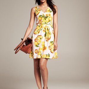 Banana Republic Lemon Citrus Print Cotton Poplin Sleeveless Sundress